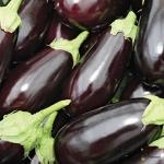 Eggplant Big