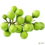 Eggplant Pea