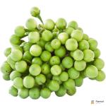 Eggplant Pea