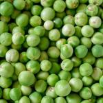 Eggplant Pea