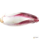 Endive Red