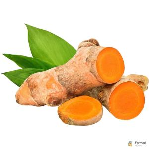 Fresh Turmeric