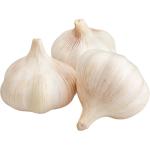 Garlic China