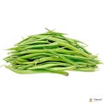 Guar