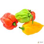 Habanero Chilli Green