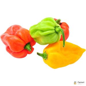 Habanero Chilli Green