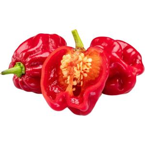 Habanero Chilli Red