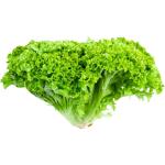 Lettuce Lollo Biando