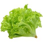 Lettuce Lollo Biando