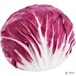 Lettuce Radicchio