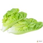Lettuce Romaine (GCC) Sanitized