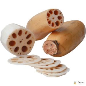 Lotus Root