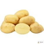 Maris Piper Potato