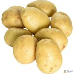 Maris Piper Potato