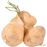 Mexican Turnip | Jicama