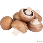 Mushrooms