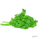 Parsley English