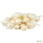 Pearl Onion USA