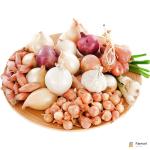 Pearl Onion USA