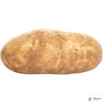 Potato