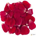 Red Rose Petals