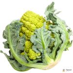 Romanesco