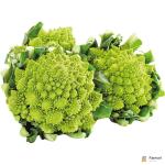 Romanesco