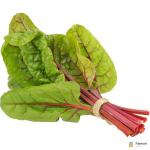Swiss Chard Red Chard