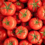 Tomatoes