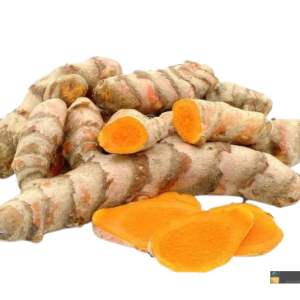 Turmeric Baby Thailand