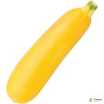 Zucchini Yellow