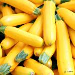 Zucchini Yellow