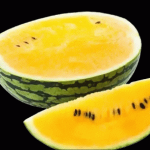 Watermelon Yellow Thailand