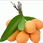 Marian Plum