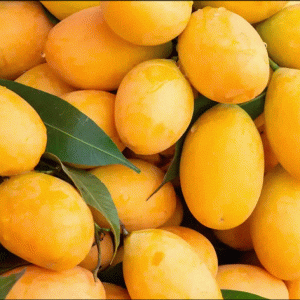 Marian Plum