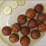 Macadamia Nuts