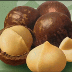 Macadamia Chocolate Flavor