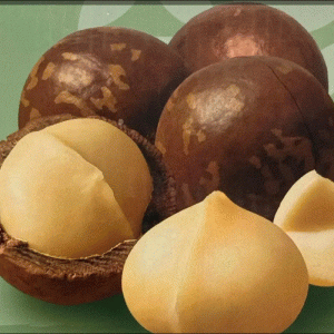 Macadamia Chocolate Flavor