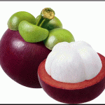 Mango Steen