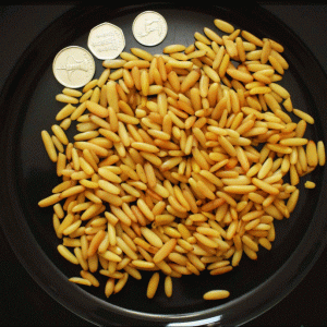 Chilgoza Pine Nuts Without Shell