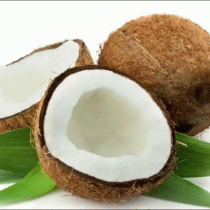 Fresh Cocunut (India)