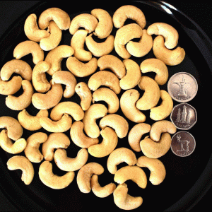 Cashew Nut Jumbo