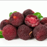 Waxberry