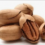 Pecan Nuts With Shell