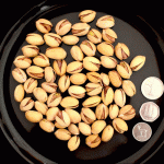 Pistachio Nuts Medium