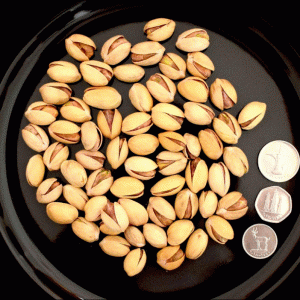 Pistachio Nuts Medium