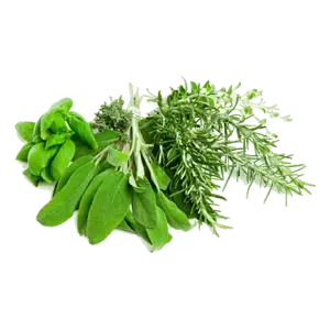 icon Herbs