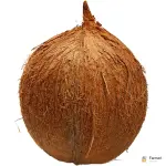 Brown Coconut