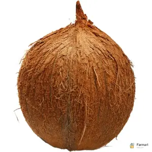 Brown Coconut