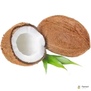 Coconut Dry India